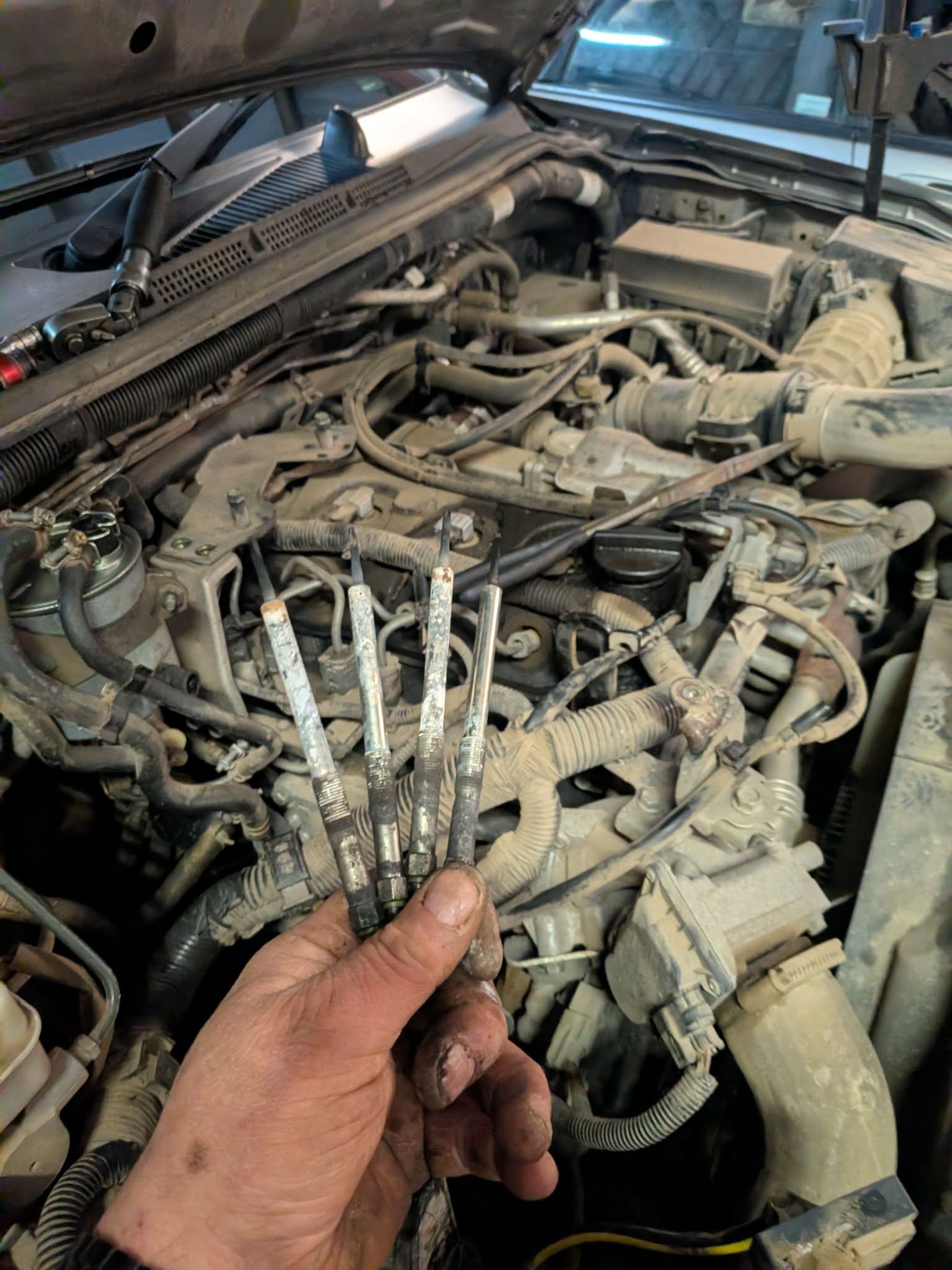 Spark plugs from engine service