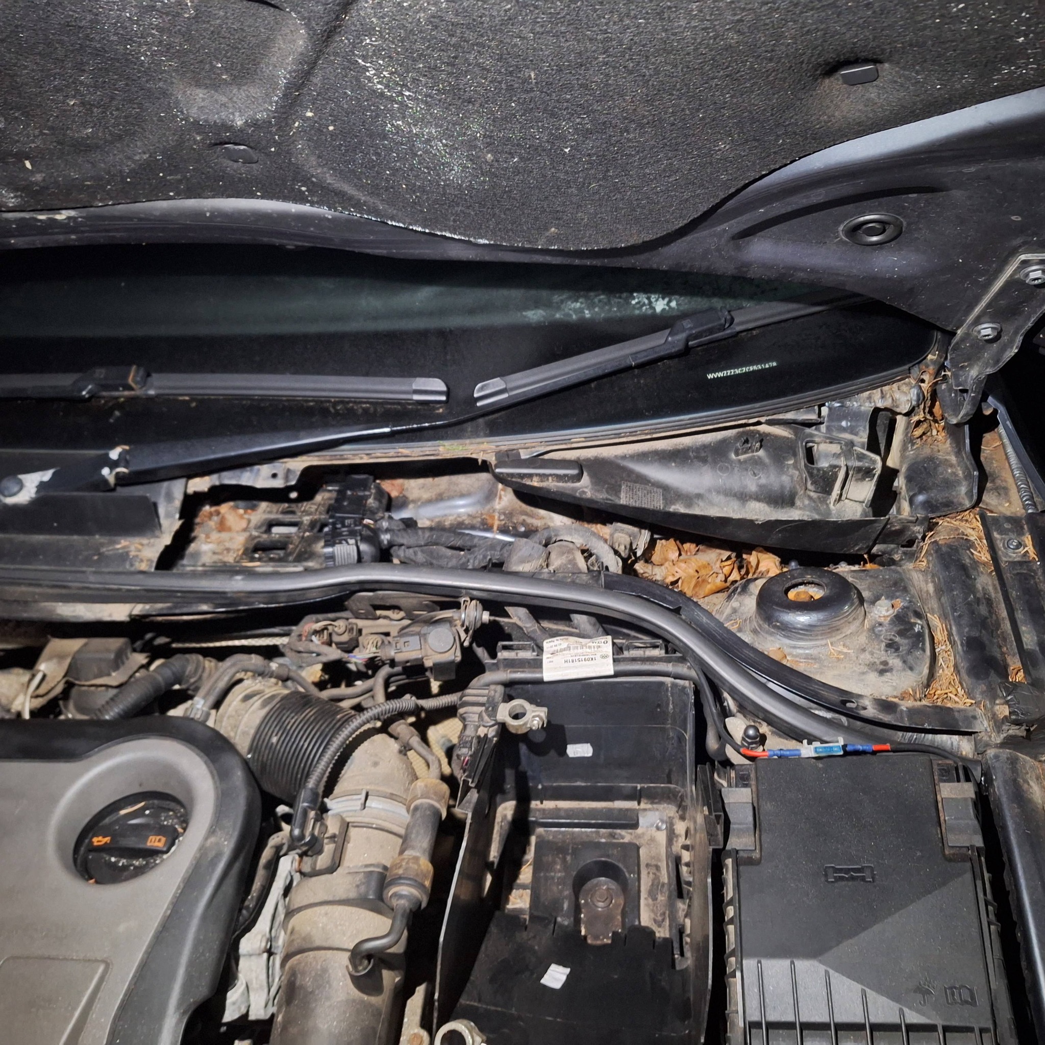 Engine bay with rust and corrosion