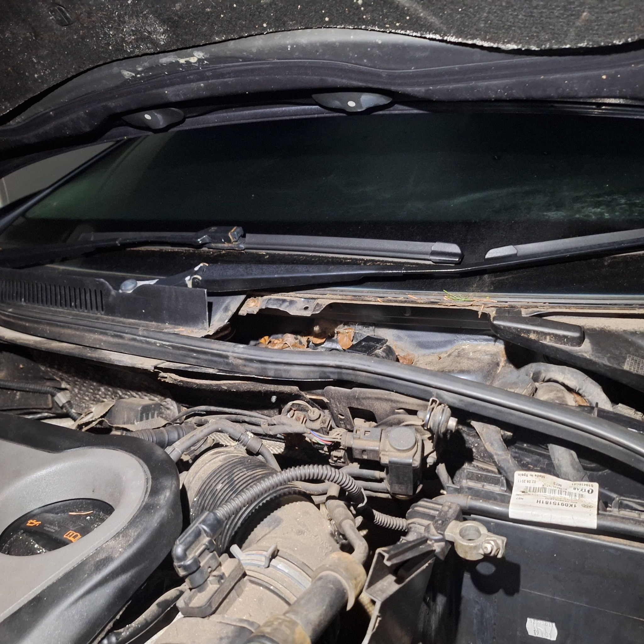 Open car hood showing engine