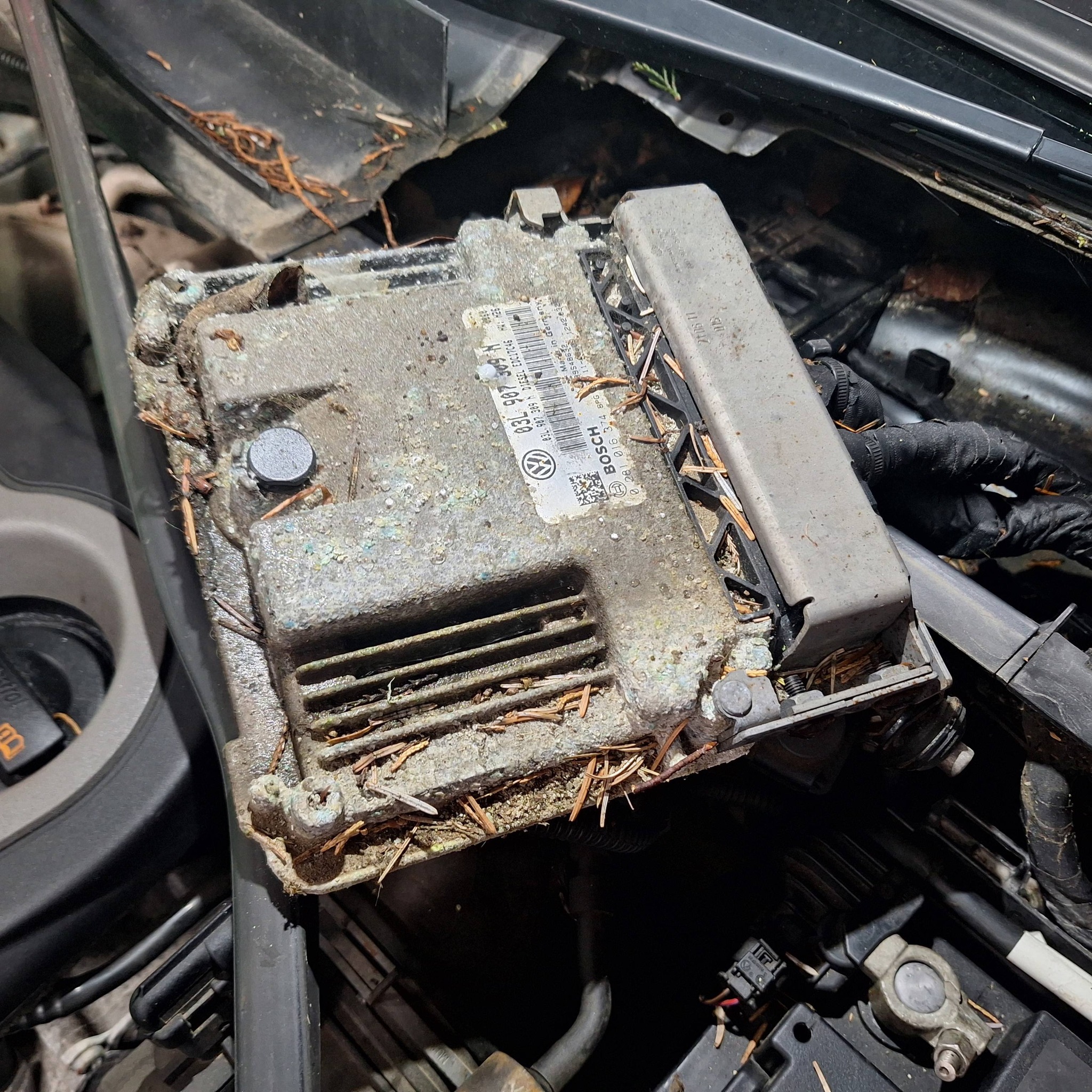 Engine component with VW label